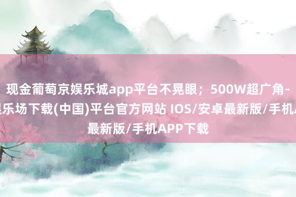 现金葡萄京娱乐城app平台不晃眼；500W超广角-葡萄京娱乐场下载(中国)平台官方网站 IOS/安卓最新版/手机APP下载