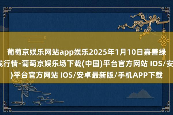 葡萄京娱乐网站app娱乐2025年1月10日嘉善绿洲市集设立有限公司价钱行情-葡萄京娱乐场下载(中国)平台官方网站 IOS/安卓最新版/手机APP下载