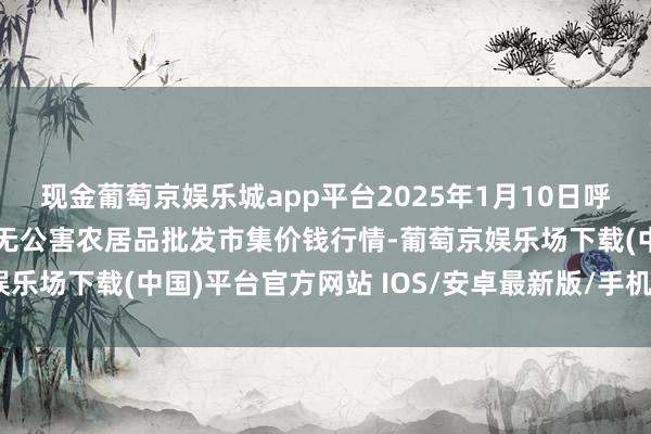 现金葡萄京娱乐城app平台2025年1月10日呼和浩特市好意思通首府无公害农居品批发市集价钱行情-葡萄京娱乐场下载(中国)平台官方网站 IOS/安卓最新版/手机APP下载