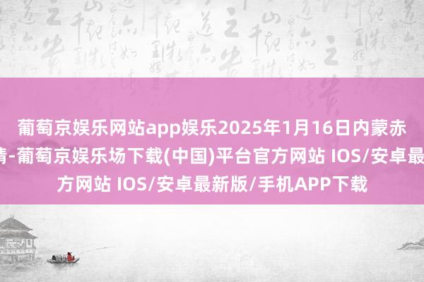 葡萄京娱乐网站app娱乐2025年1月16日内蒙赤峰西城阛阓价钱行情-葡萄京娱乐场下载(中国)平台官方网站 IOS/安卓最新版/手机APP下载