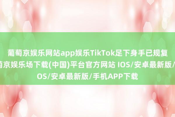 葡萄京娱乐网站app娱乐TikTok足下身手已规复不异使用-葡萄京娱乐场下载(中国)平台官方网站 IOS/安卓最新版/手机APP下载