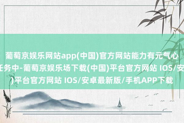 葡萄京娱乐网站app(中国)官方网站能力有元气心灵进入到选藏的学习任务中-葡萄京娱乐场下载(中国)平台官方网站 IOS/安卓最新版/手机APP下载