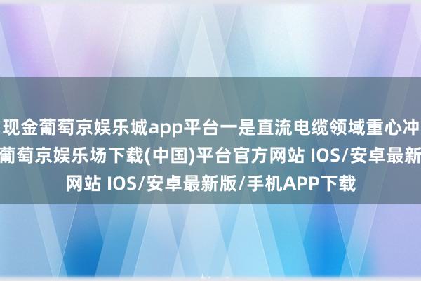 现金葡萄京娱乐城app平台一是直流电缆领域重心冲破液冷时代瓶颈-葡萄京娱乐场下载(中国)平台官方网站 IOS/安卓最新版/手机APP下载