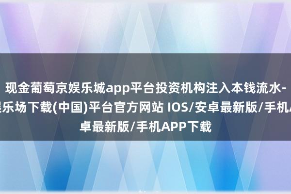 现金葡萄京娱乐城app平台投资机构注入本钱流水-葡萄京娱乐场下载(中国)平台官方网站 IOS/安卓最新版/手机APP下载