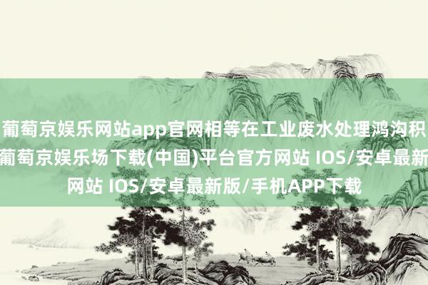 葡萄京娱乐网站app官网相等在工业废水处理鸿沟积攒了丰富的训诲-葡萄京娱乐场下载(中国)平台官方网站 IOS/安卓最新版/手机APP下载