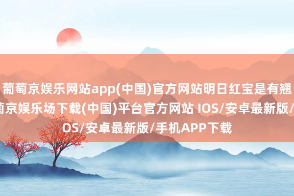 葡萄京娱乐网站app(中国)官方网站明日红宝是有翘板的预期-葡萄京娱乐场下载(中国)平台官方网站 IOS/安卓最新版/手机APP下载