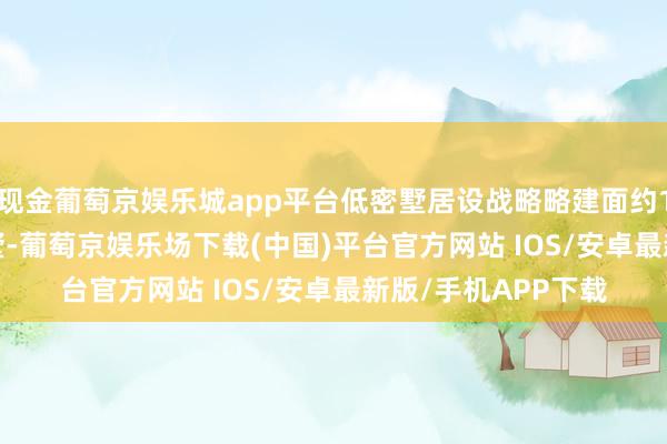 现金葡萄京娱乐城app平台低密墅居设战略略建面约117-160㎡绿奢叠墅-葡萄京娱乐场下载(中国)平台官方网站 IOS/安卓最新版/手机APP下载