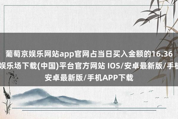 葡萄京娱乐网站app官网占当日买入金额的16.36%-葡萄京娱乐场下载(中国)平台官方网站 IOS/安卓最新版/手机APP下载
