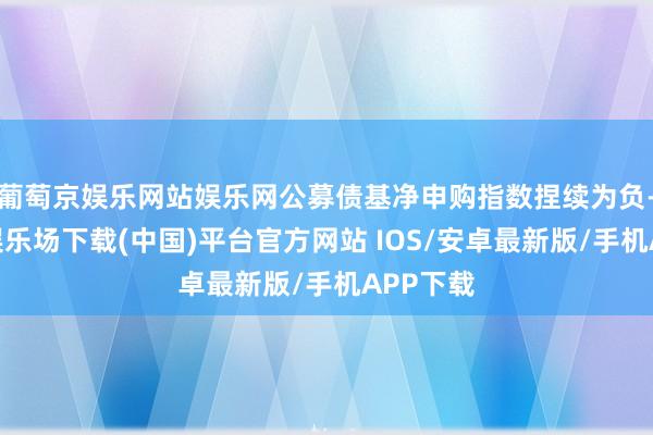 葡萄京娱乐网站娱乐网公募债基净申购指数捏续为负-葡萄京娱乐场下载(中国)平台官方网站 IOS/安卓最新版/手机APP下载
