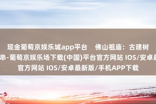 现金葡萄京娱乐城app平台    佛山祖庙：古建树屋檐下吊挂编程灯笼串-葡萄京娱乐场下载(中国)平台官方网站 IOS/安卓最新版/手机APP下载