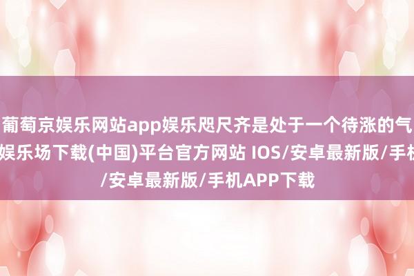 葡萄京娱乐网站app娱乐咫尺齐是处于一个待涨的气象-葡萄京娱乐场下载(中国)平台官方网站 IOS/安卓最新版/手机APP下载