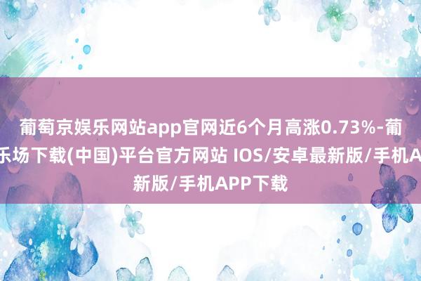 葡萄京娱乐网站app官网近6个月高涨0.73%-葡萄京娱乐场下载(中国)平台官方网站 IOS/安卓最新版/手机APP下载