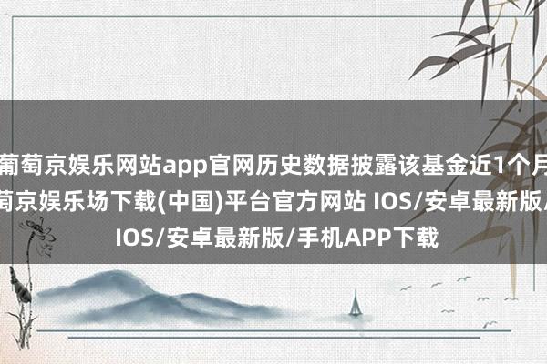 葡萄京娱乐网站app官网历史数据披露该基金近1个月上升0.3%-葡萄京娱乐场下载(中国)平台官方网站 IOS/安卓最新版/手机APP下载