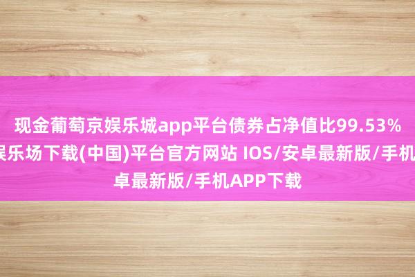 现金葡萄京娱乐城app平台债券占净值比99.53%-葡萄京娱乐场下载(中国)平台官方网站 IOS/安卓最新版/手机APP下载