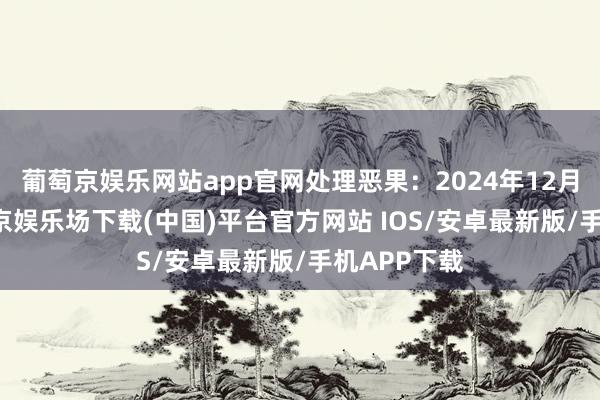 葡萄京娱乐网站app官网处理恶果：2024年12月12日-葡萄京娱乐场下载(中国)平台官方网站 IOS/安卓最新版/手机APP下载