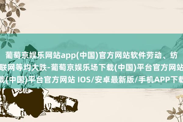 葡萄京娱乐网站app(中国)官方网站软件劳动、纺织衣饰、告白包装、互联网等均大跌-葡萄京娱乐场下载(中国)平台官方网站 IOS/安卓最新版/手机APP下载