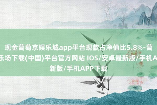 现金葡萄京娱乐城app平台现款占净值比5.8%-葡萄京娱乐场下载(中国)平台官方网站 IOS/安卓最新版/手机APP下载
