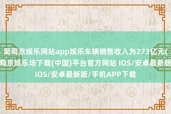 葡萄京娱乐网站app娱乐车辆销售收入为273亿元(东谈主民币-葡萄京娱乐场下载(中国)平台官方网站 IOS/安卓最新版/手机APP下载
