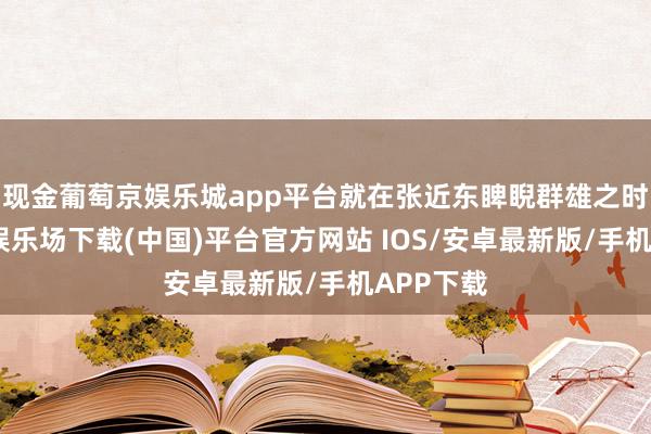 现金葡萄京娱乐城app平台就在张近东睥睨群雄之时-葡萄京娱乐场下载(中国)平台官方网站 IOS/安卓最新版/手机APP下载