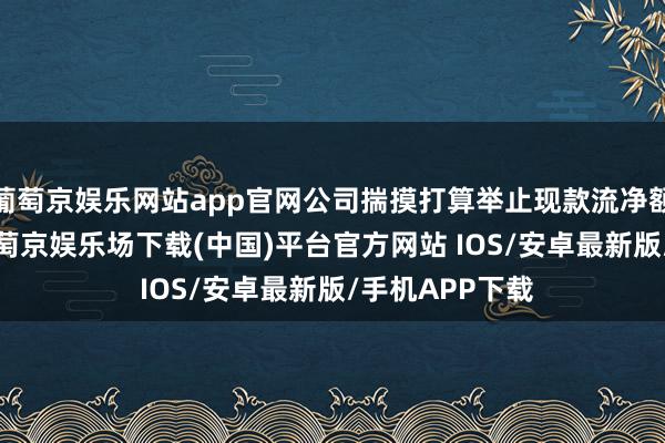 葡萄京娱乐网站app官网公司揣摸打算举止现款流净额为4.8亿元-葡萄京娱乐场下载(中国)平台官方网站 IOS/安卓最新版/手机APP下载