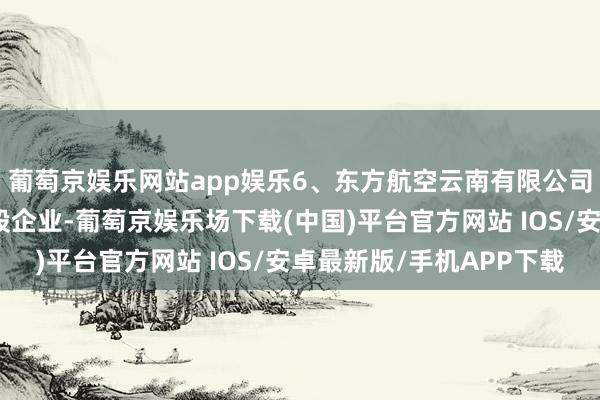 葡萄京娱乐网站app娱乐6、东方航空云南有限公司(东航云南)东航控股企业-葡萄京娱乐场下载(中国)平台官方网站 IOS/安卓最新版/手机APP下载