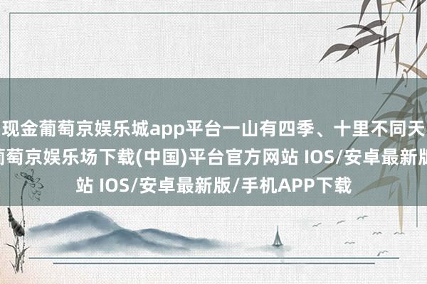 现金葡萄京娱乐城app平台一山有四季、十里不同天”的好意思誉-葡萄京娱乐场下载(中国)平台官方网站 IOS/安卓最新版/手机APP下载