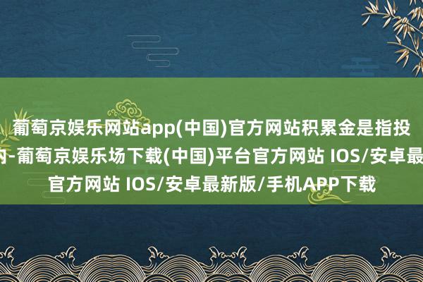 葡萄京娱乐网站app(中国)官方网站积累金是指投资者在一定时刻段内-葡萄京娱乐场下载(中国)平台官方网站 IOS/安卓最新版/手机APP下载