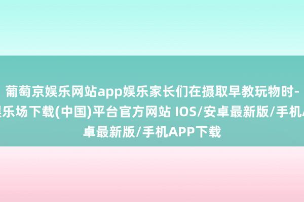 葡萄京娱乐网站app娱乐家长们在摄取早教玩物时-葡萄京娱乐场下载(中国)平台官方网站 IOS/安卓最新版/手机APP下载