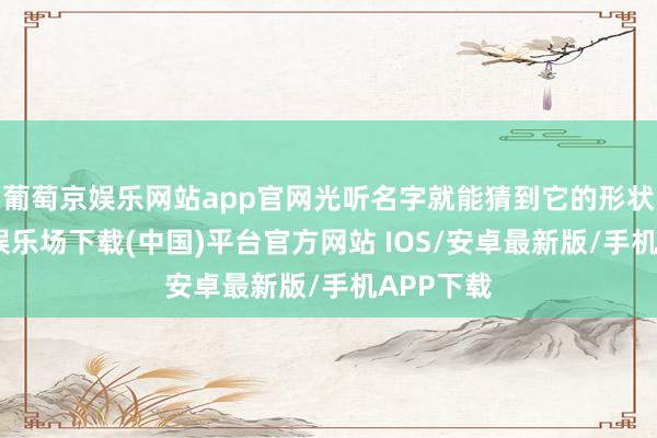 葡萄京娱乐网站app官网光听名字就能猜到它的形状-葡萄京娱乐场下载(中国)平台官方网站 IOS/安卓最新版/手机APP下载