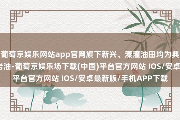 葡萄京娱乐网站app官网旗下新兴、溱潼油田均为典型的陆相断陷盆地页岩油-葡萄京娱乐场下载(中国)平台官方网站 IOS/安卓最新版/手机APP下载