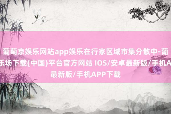 葡萄京娱乐网站app娱乐在行家区域市集分散中-葡萄京娱乐场下载(中国)平台官方网站 IOS/安卓最新版/手机APP下载
