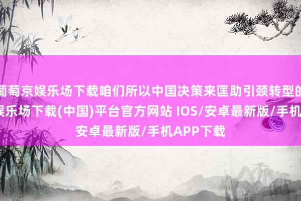 葡萄京娱乐场下载咱们所以中国决策来匡助引颈转型的-葡萄京娱乐场下载(中国)平台官方网站 IOS/安卓最新版/手机APP下载