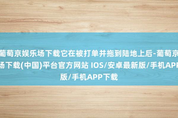 葡萄京娱乐场下载它在被打单并拖到陆地上后-葡萄京娱乐场下载(中国)平台官方网站 IOS/安卓最新版/手机APP下载
