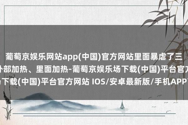 葡萄京娱乐网站app(中国)官方网站里面暴虐了三种检修神色——针刺、外部加热、里面加热-葡萄京娱乐场下载(中国)平台官方网站 IOS/安卓最新版/手机APP下载