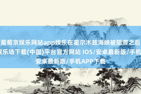 葡萄京娱乐网站app娱乐在霍尔木兹海峡被阻滞之后-葡萄京娱乐场下载(中国)平台官方网站 IOS/安卓最新版/手机APP下载