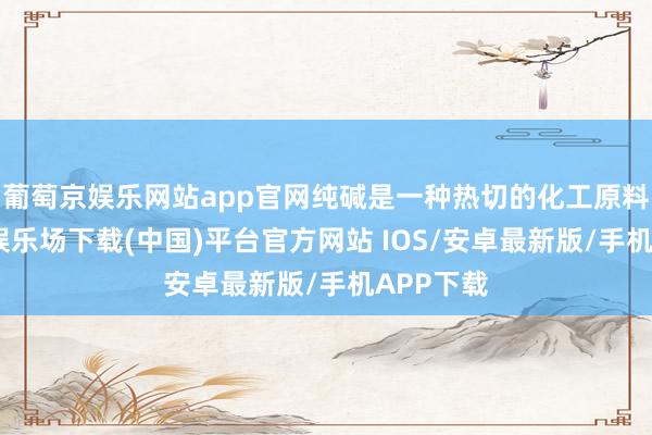 葡萄京娱乐网站app官网纯碱是一种热切的化工原料-葡萄京娱乐场下载(中国)平台官方网站 IOS/安卓最新版/手机APP下载