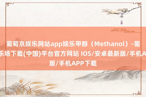 葡萄京娱乐网站app娱乐甲醇（Methanol）-葡萄京娱乐场下载(中国)平台官方网站 IOS/安卓最新版/手机APP下载