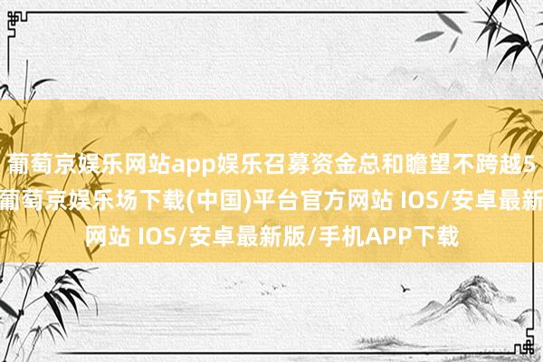 葡萄京娱乐网站app娱乐召募资金总和瞻望不跨越5亿元（含本数）-葡萄京娱乐场下载(中国)平台官方网站 IOS/安卓最新版/手机APP下载